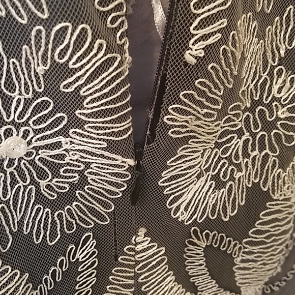 Carolina Hererra semi formal dress - Picture 11 of 11